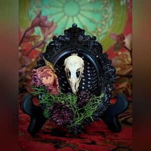 Ornate Black Wood Frame with Genuine Pheasant Skull And Resined Floral Accents
